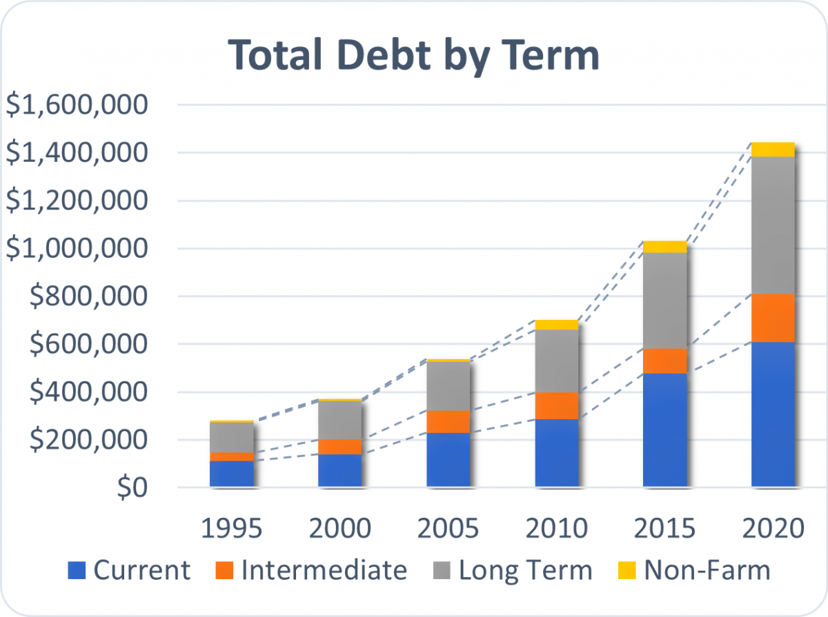 Total Debt by Term
